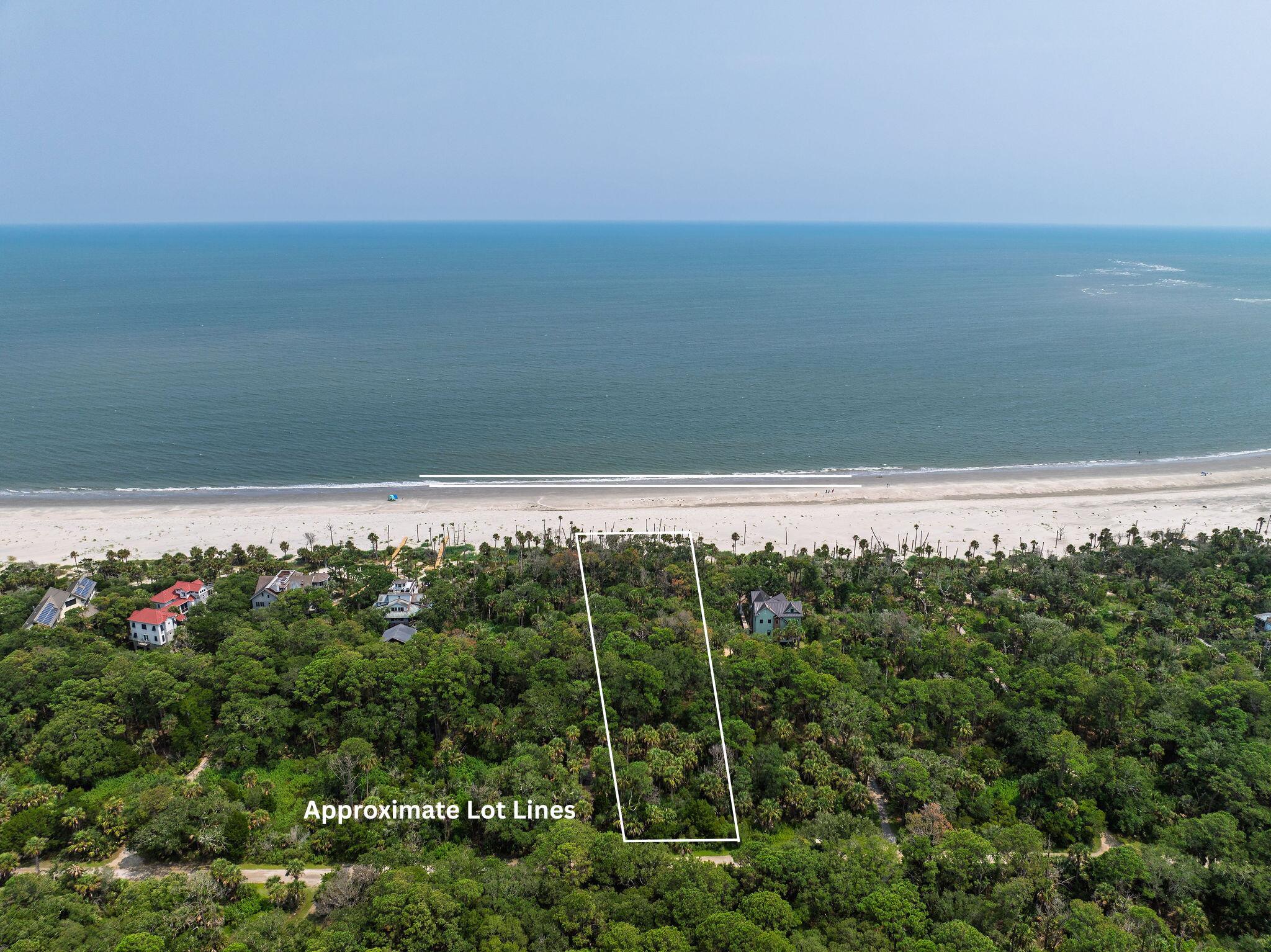 355 Pelican Flight Drive Dewees Island SC 29451