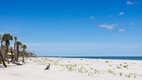 355 Pelican Flight Drive Dewees Island SC 29451