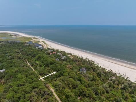 355 Pelican Flight Drive Dewees Island SC 29451