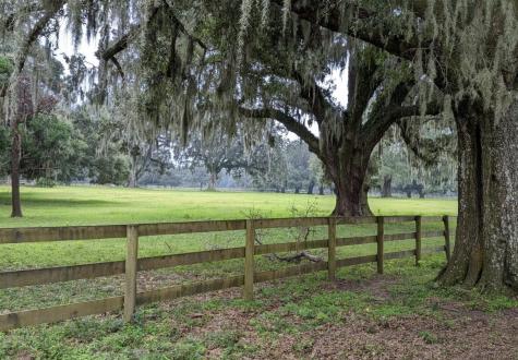 33 Middleton Oaks Road Charleston SC 29414