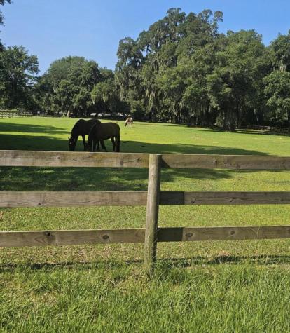 33 Middleton Oaks Road Charleston SC 29414