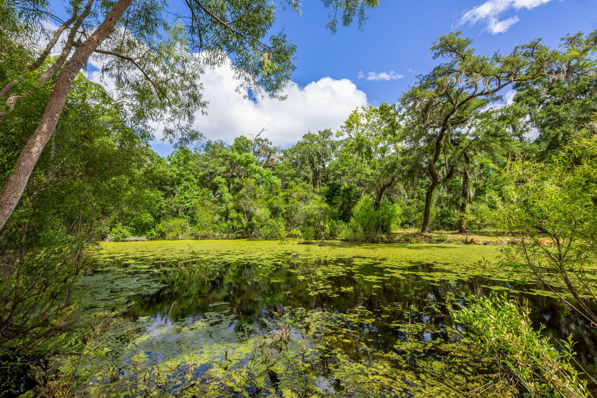 0 Thorn Chase Lane Johns Island SC 29455