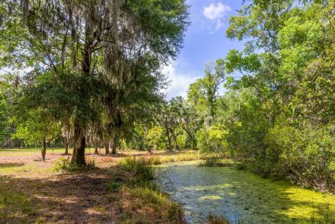 0 Thorn Chase Lane Johns Island SC 29455