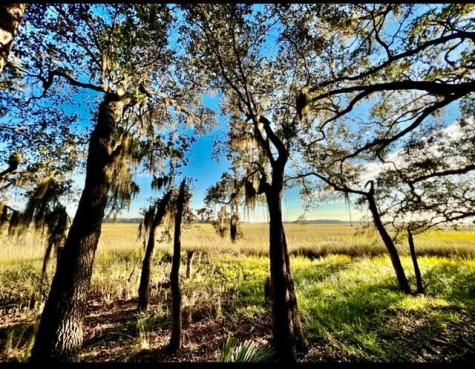 481 Paige Point Seabrook SC 29940