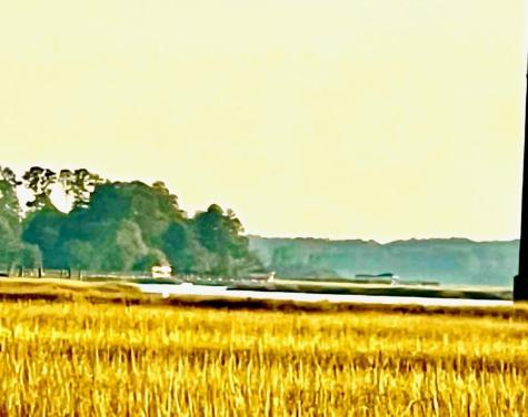 481 Paige Point Seabrook SC 29940