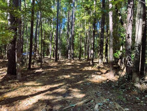 481 Paige Point Seabrook SC 29940