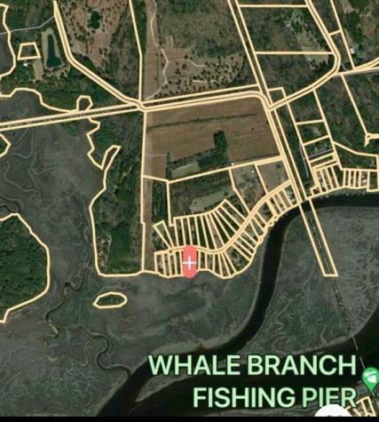 481 Paige Point Seabrook SC 29940