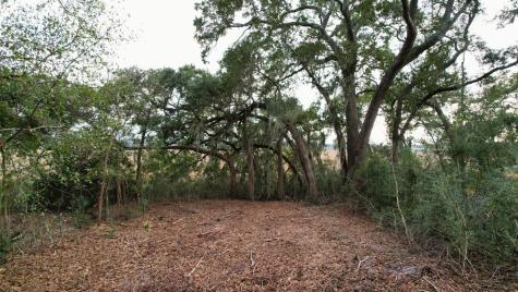 481 Paige Point Seabrook SC 29940
