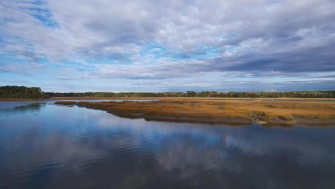 481 Paige Point Seabrook SC 29940
