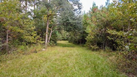 155 Goldenrod Lane Moncks Corner SC 29461