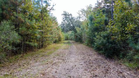 155 Goldenrod Lane Moncks Corner SC 29461