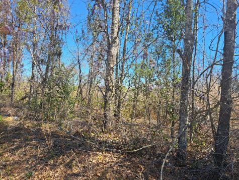 S-38-200 Laval Road Santee SC 29142