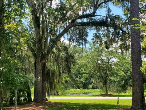 4227 Ten Shillings Way Ravenel SC 29470