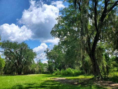 4227 Ten Shillings Way Ravenel SC 29470