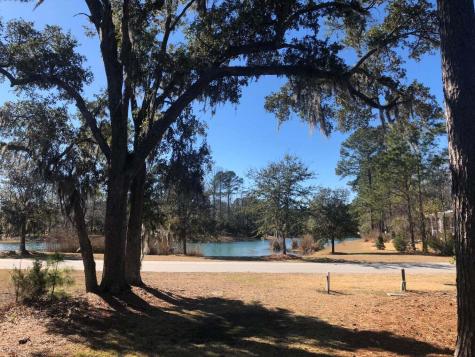 4227 Ten Shillings Way Ravenel SC 29470