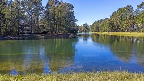 4227 Ten Shillings Way Ravenel SC 29470