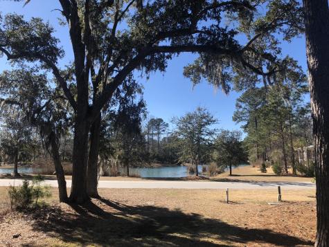 4227 Ten Shillings Way Ravenel SC 29470