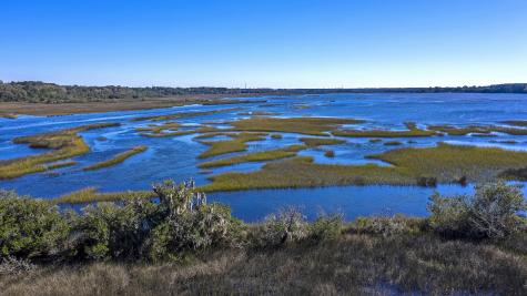 4227 Ten Shillings Way Ravenel SC 29470
