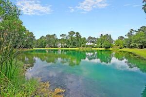 4227 Ten Shillings Way Ravenel SC 29470