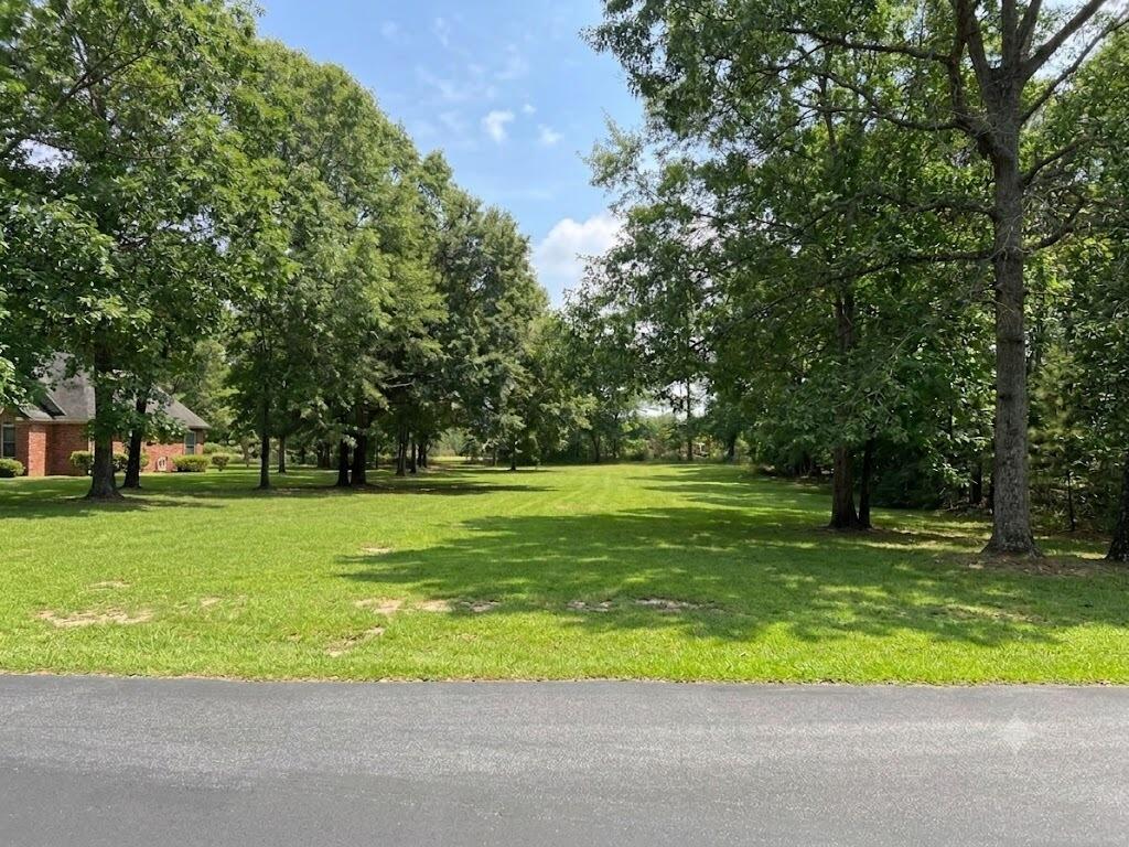 318 Lake Arbu Drive Manning SC 29102