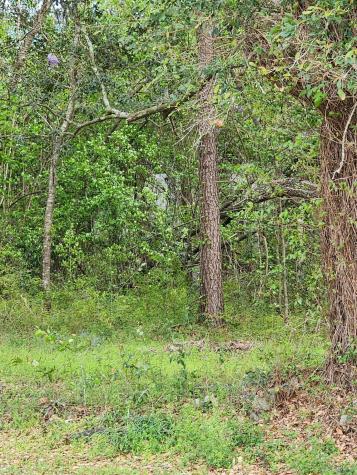 9387 Old Number Six Highway Santee SC 29142