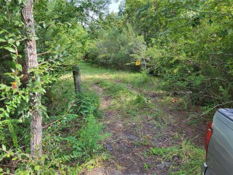 1766 Jedburg Road Summerville SC 29486