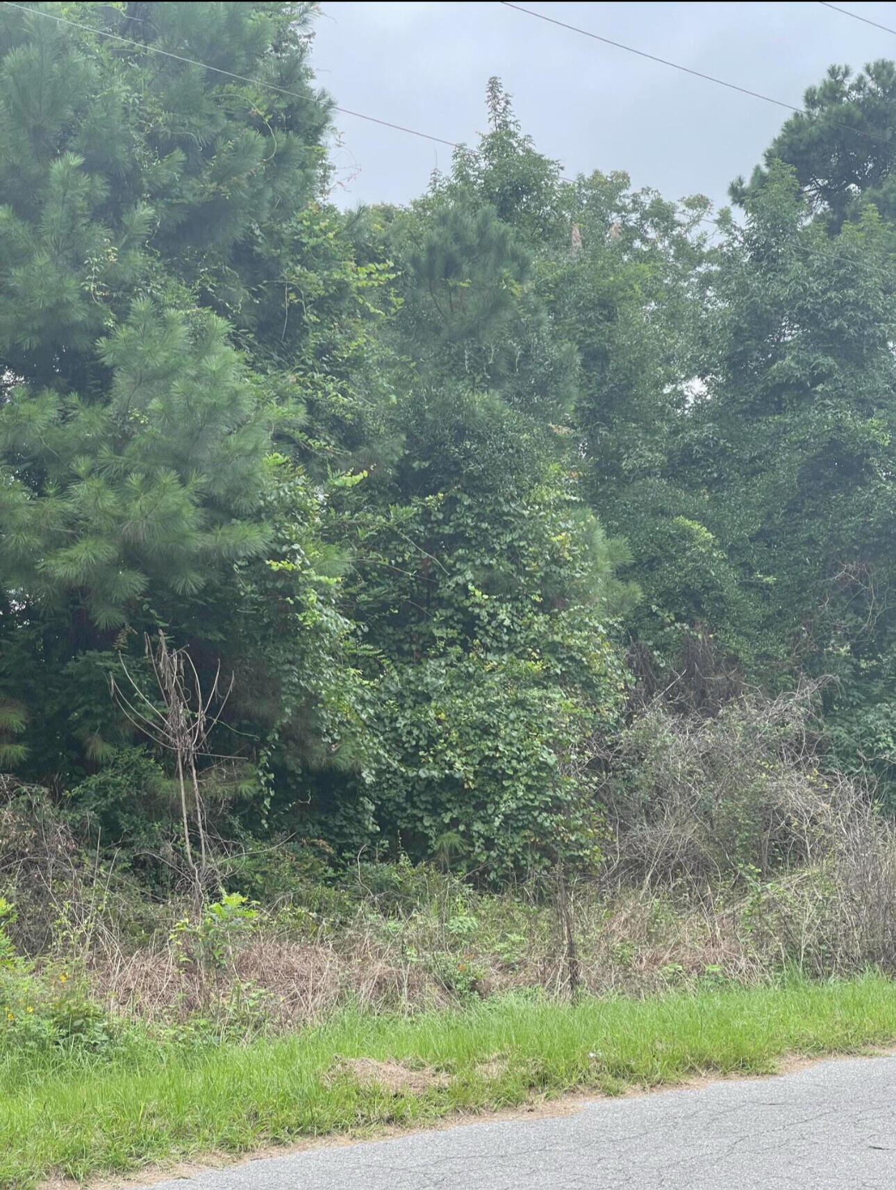 004 Summers Drive Summerville SC 29483