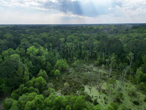 000 Murraywood Road Johns Island SC 29455