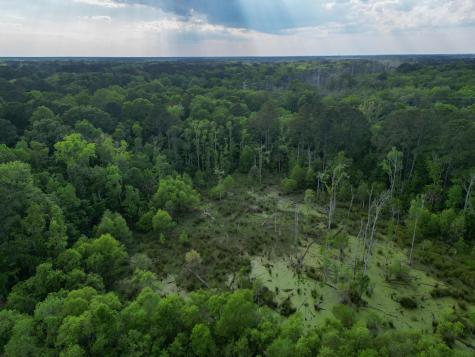 000 Murraywood Road Johns Island SC 29455