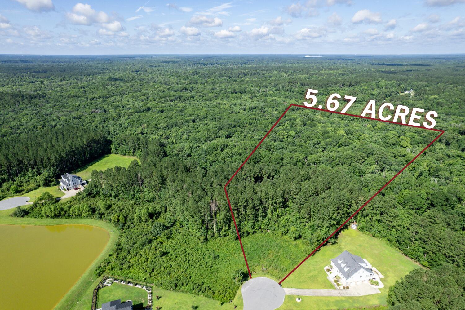 1336 Wood Sorrel Drive Moncks Corner SC 29461