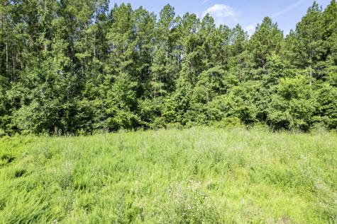 1336 Wood Sorrel Drive Moncks Corner SC 29461
