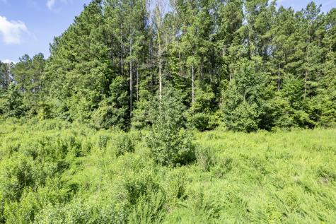 1336 Wood Sorrel Drive Moncks Corner SC 29461