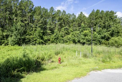 1336 Wood Sorrel Drive Moncks Corner SC 29461