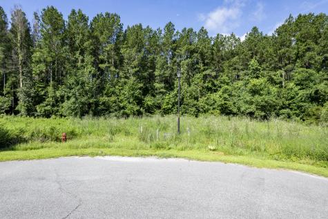 1336 Wood Sorrel Drive Moncks Corner SC 29461