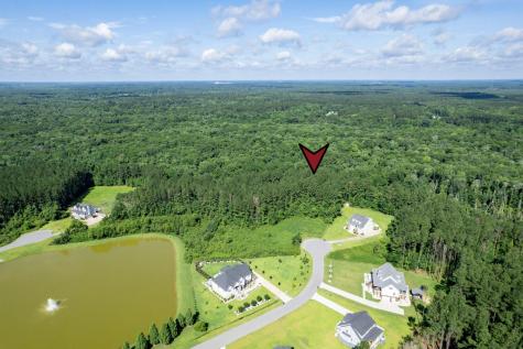 1336 Wood Sorrel Drive Moncks Corner SC 29461