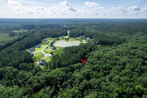 1336 Wood Sorrel Drive Moncks Corner SC 29461