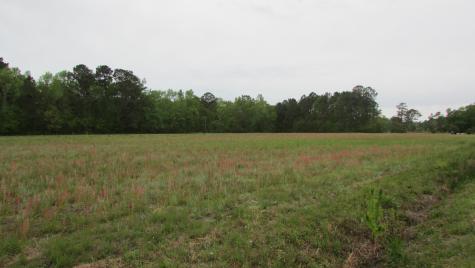 0 Benjamin Road Johns Island SC 29455