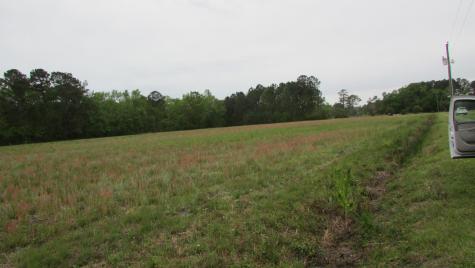 0 Benjamin Road Johns Island SC 29455
