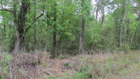 0 Benjamin Road Johns Island SC 29455