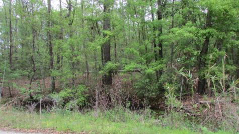 0 Benjamin Road Johns Island SC 29455