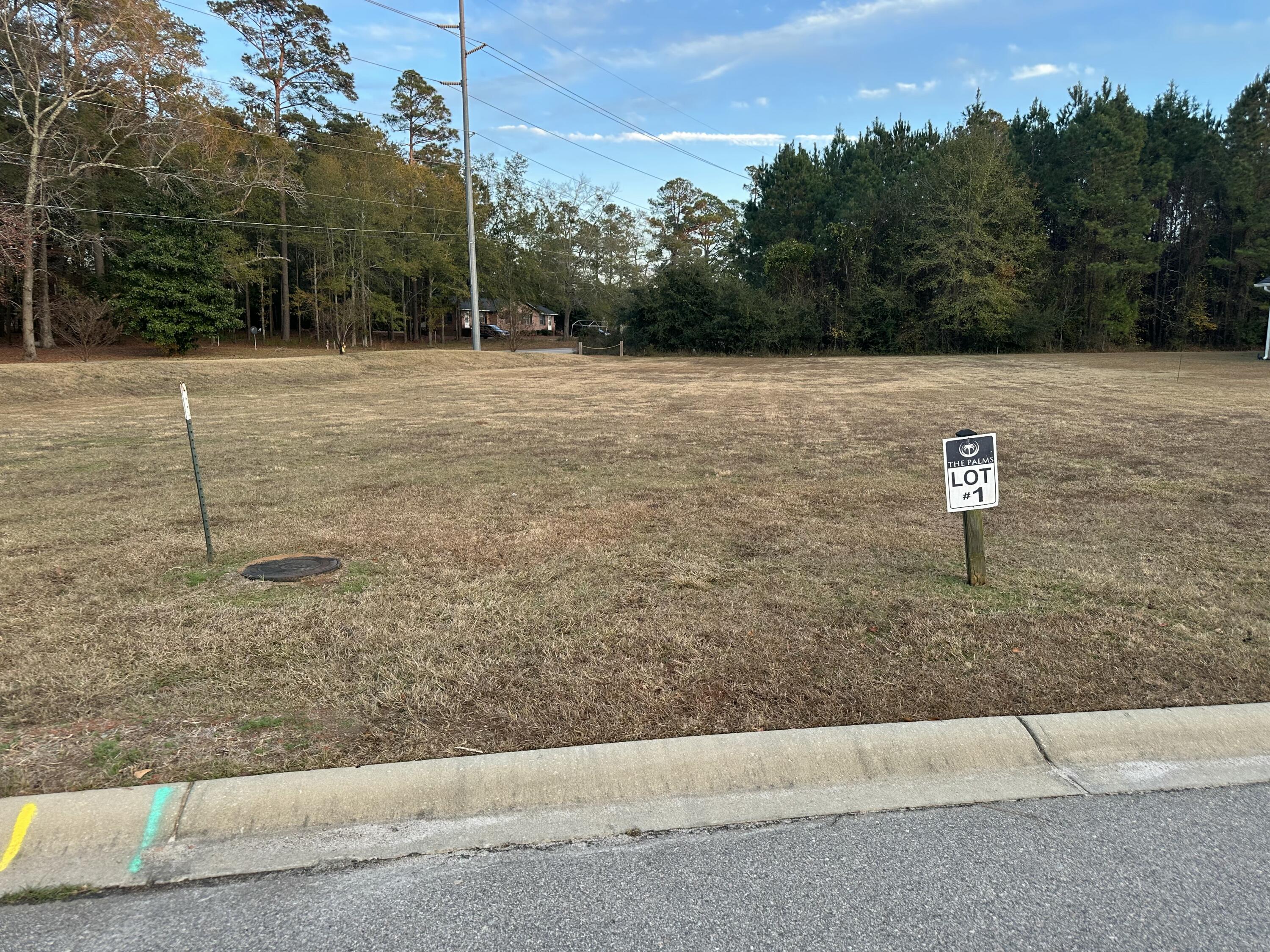 111 Sago Palm Drive Orangeburg SC 29118