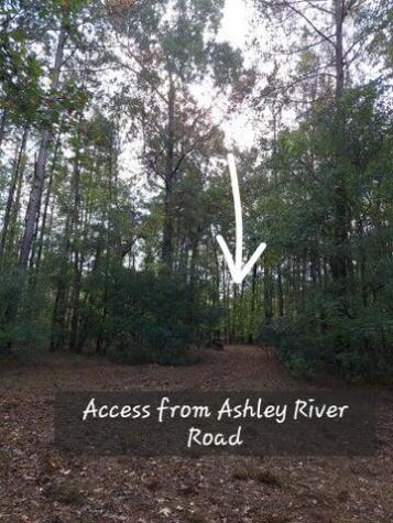 00 Ashley River Road Summerville SC 29485