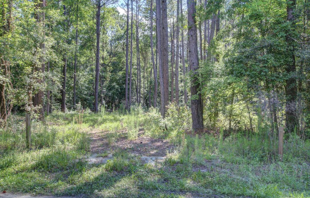 0 Paisan Road Summerville SC 29483
