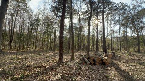 0 Sol Farm Road Johns Island SC 29455