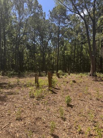 0 Sol Farm Road Johns Island SC 29455