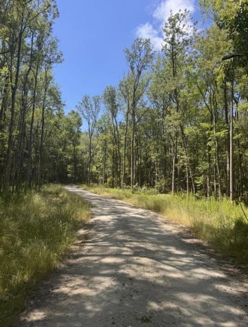 0 Sol Farm Road Johns Island SC 29455