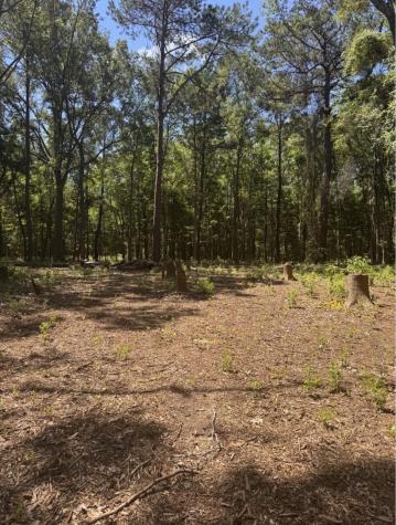0 Sol Farm Road Johns Island SC 29455
