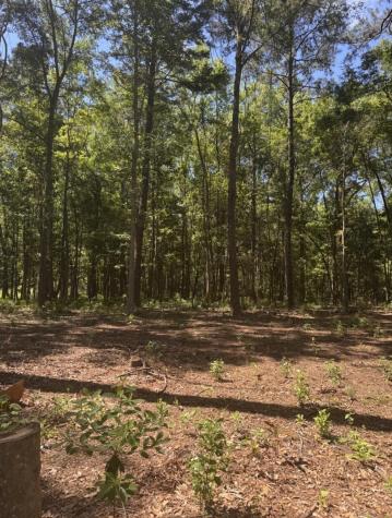 0 Sol Farm Road Johns Island SC 29455