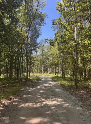0 Sol Farm Road Johns Island SC 29455