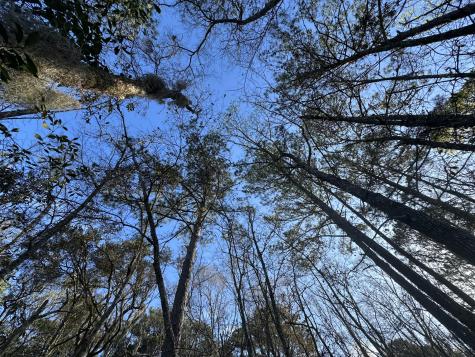 0 Cooke Road Johns Island SC 29455